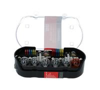 CARPOINT H4 Juego de Bombillas de Recambio Coche | Juego de Bombillas H4 30 Piezas | Bombillas y Fusibles