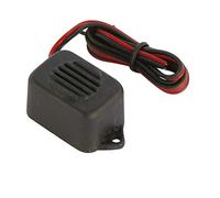Carpoint 1523454 - Indicador sonoro de luz encendida (6 V - 12 V)