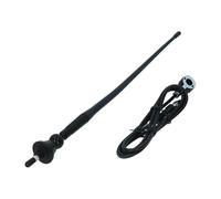 CARPOINT 2010014 Antena
