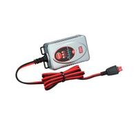 Carpoint BX-4M - Cargador de batería (6 V/12 V, 1 amperio)