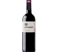Carramimbre Roble Magnum, vino tinto Tempranillo en gran formato con crianza breve en roble, aromas frutales y perfil equilibrado para compartir en cualquier ocasión.| 1 botella