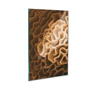Carrara Modern-SFArt - Tabla de cortar de cristal templado y cubierta para vitrocerámica, 1 pieza, 45 x 52 cm, higiénica y antideslizante, protección para inducción, vitrocerámica