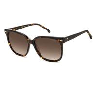 Carrera Mujer CARRERA 3002/S 086/HA Gafas de sol Acetato la Habana Marrón Cuadrada Sombreado