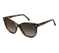Carrera CARRERA 3043/S 086 56