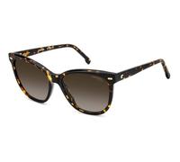 Carrera Gafas de Sol 3043/S 086 HAVANA 56/17/140 Mujer