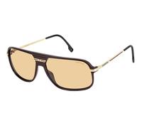CARRERA SUN C SPORT 10/S BURGUNDY GOLD 62