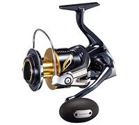 Shimano Stella Sw-C 8000 Pg
