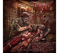Carrion - Morbid Nailgun Necropsy