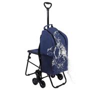 Carrito Compra 6 Rondas Bolsa De La Compra Impermeable Capacidad De 41 litros Carro La Compras con Ruedas Aislamiento Interno Marco AleacióN Aluminio