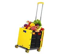 Carrito de la compra plegable con tapa, portátil, de 4 ruedas, para supermercado, camping, pesca, capacidad de 48 l, ligero y práctico