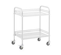 Carrito de laboratorio - acero inoxidable - 2 estantes de 63 x 40 x 12,5 cm - 20 kg | Steinberg Systems