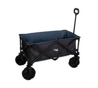Carrito de Playa Plegable AKTIVE 62620 Negro (91x49x99cm)
