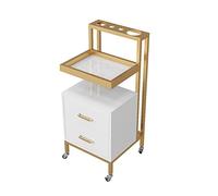 Carrito de salón de belleza, carrito profesional con estante de almacenamiento para secador de pelo, 2 cajones y barandilla elevada, carrito de salón de belleza de gama alta (dorado y blanco)