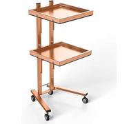 Carrito rodante de 2 niveles, carrito plegable con ruedas para esteticistas, spa y profesionales de la belleza, solución de almacenamiento móvil para un fácil acceso y nización