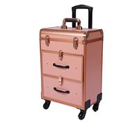 Carro de cosméticos con 2 cajones, maletín de maquillaje, maletín de maquillaje con ruedas de 360°, maletín de maquillaje, con cerradura, diseño de uñas, maletín de tren, color dorado