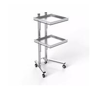 CAFIEDR Carro de Herramientas con Ruedas y Bandeja de Almacenamiento Doble, Soporte de Bandeja de Acero Inoxidable con Ruedas para peluquería, Carrito de Almacenamiento con Bande(Plata)