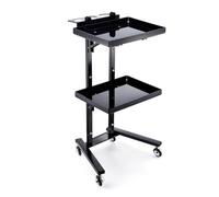 Carro de Peluquería con Ruedas,Bandeja de Instrumentos para Salón de Belleza, Carrito Rodante Profesional de Metal Acero Inoxidable, Bandeja para Tatuajes con Bandejas Metálicas Carro de Herramienta