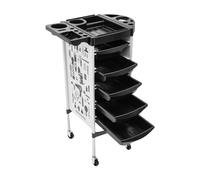 Carro de peluquería con ruedas, carrito de salón de belleza con 5 cajones y soporte para secador de pelo, carrito de salón con ruedas, con cajones para estilista, peluquería, peluquería, spa (blanco)