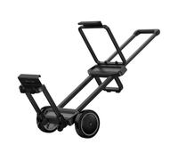 Carro EcoFlow (DELTA Pro Ultra)