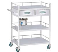 Carro Medico 2 Capas Acero Inoxidable Carro Rodante Para Estética Laboratorio Médico Clínica Hospital Carga Máxima 150kg (Color : C, Size : 66x44x86cm)