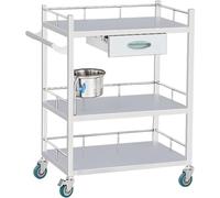 Carro Medico 2 Capas Acero Inoxidable Carro Rodante Para Estética Laboratorio Médico Clínica Hospital Carga Máxima 150kg (Color : B, Size : 80x48x86cm)