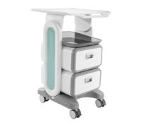 Carro médico con 2 cajones y estante superior, carrito de laboratorio ABS, carrito de belleza, carrito de salón de belleza, carrito de 60 kg, carro médico para laboratorio, clínica, hospital, salón