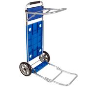 Colorbaby Multipurpose Car With Extensible Bars Supports Aktive 30kg Plateado