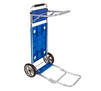Colorbaby Multipurpose Car With Extensible Bars Supports Aktive 30kg Plateado