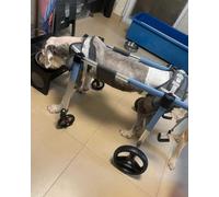 Carro para Mascotas， Carrito de Movilidad for Perros 4 Ruedas, Andador asistido for discapacitados, Carrito Ligero for pasear Mascotas for Patas traseras y Delanteras(XX Large)