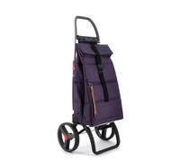 Carro Rolser Big Polar 2 Ruedas Grandes Plegable More