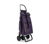 Carro Rolser Big Polar 4 Ruedas Plegable More