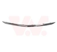 VAN WEZEL ListÃ³n embellecedor/protector, panal de radiador para OPEL: Insignia (Ref: 3850519)