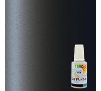 CARSKY lápiz retoque pintura carrocería compatible con Citroën GRIS FULMINATOR MET EYPC (botella con cepillo 20ml) + lápiz barniz brillante (botella con cepillo 20ml)