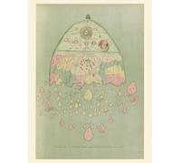 Carte - Carte birmane du monde