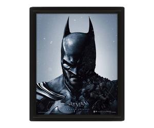 Cartel 3D SHERWOOD DC Batman Arkhan Origins