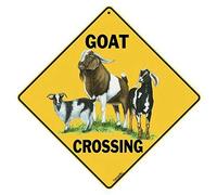 Cartel cuadrado de metal con texto en inglés "Cruce de cabra" (30,5 x 30,5 cm)