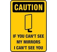 Cartel de advertencia de lata con texto en inglés "If You Can T See My Mirrors I Can T See You" para el hogar, cocina, granja, jardín, garaje, decoración de pared, 30,5 x 20,3 cm