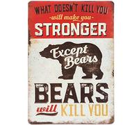 Cartel de aluminio con texto en inglés "What Do't Kill You Makes You Stronger Except Bears Will Kill" para interiores y exteriores, para decoración de pared, para bar, café, cocina, 20 x 30 cm