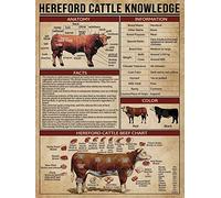 Cartel De Chapa Conocimiento del Ganado Hereford Tabla De Carne De Res del Ganado Hereford Granja Campestre Retro Casa De Campo Letrero De Estaño Regalos Tin Sign Novedad para Baño 20X30CM