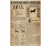 Cartel De Chapa Conocimiento sobre El Malamute De Alaska Placa Metalica Regalos Tin Sign Vintage Letrero De Estaño para Cafetería Restaurante Garaje 20X30CM