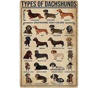 Cartel De Chapa Dachshunds Knowledge Types of Dachshunds Metal Sign Art Tin Sign Nostalgic Placa Metalica para Cocina Taberna Restaurante 20X30CM