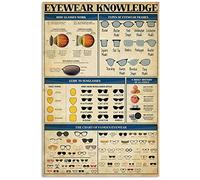 Cartel De Chapa Infografías sobre Cómo Funcionan Las Gafas. Conocimientos sobre Gafas. Letrero De Estaño Regalos Tin Sign Vintage Placa Metalica para Baño Garaje Restaurante 20X30CM