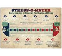 Cartel De Chapa Medidor De Estrés: Comprender Y Gestionar El Cerebro Y El Estrés Letrero De Estaño Novedad Tin Sign Vintage Placa Metalica Para Cafetería Hogar Baño S