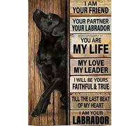 Cartel De Chapa Perro Labrador Soy Tu Amigo Tu Compañero Tu Labrador Carteles De Metal Novedad Letrero De Estaño Para Cafetería Garaje Casa S