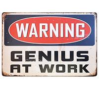 Cartel De Chapa Warning Genius At Work Placa Metalica Art Metal Sign Nostalgic Letrero De Metal para Taberna Cocina Garaje 20X30CM