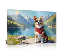 Cartel de estaño con texto en inglés "Man Cave Decor Happy Corgi Enjoying A Sunny Day By The Lake" - Letrero sarcástico para hombres (20 x 30 cm)