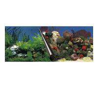 Cartel de fondo de acuario Aqua Della Stone & Coral 31x4x4 cm