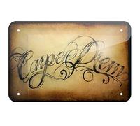 Cartel de metal Carpe Diem Seize the day de 20 x 30 cm