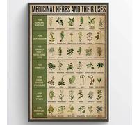 Cartel de metal con diseño de hierbas medicinales y sus usos y plantas, 30,5 x 20,3 cm, vintage, divertido, decoración de pared, arte, regalo, imagen retro