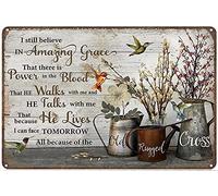 Cartel de metal con texto en inglés «Beautiful Hummingbird I Still Believe in Amazing Grace» para pared, 8 x 12 pulgadas